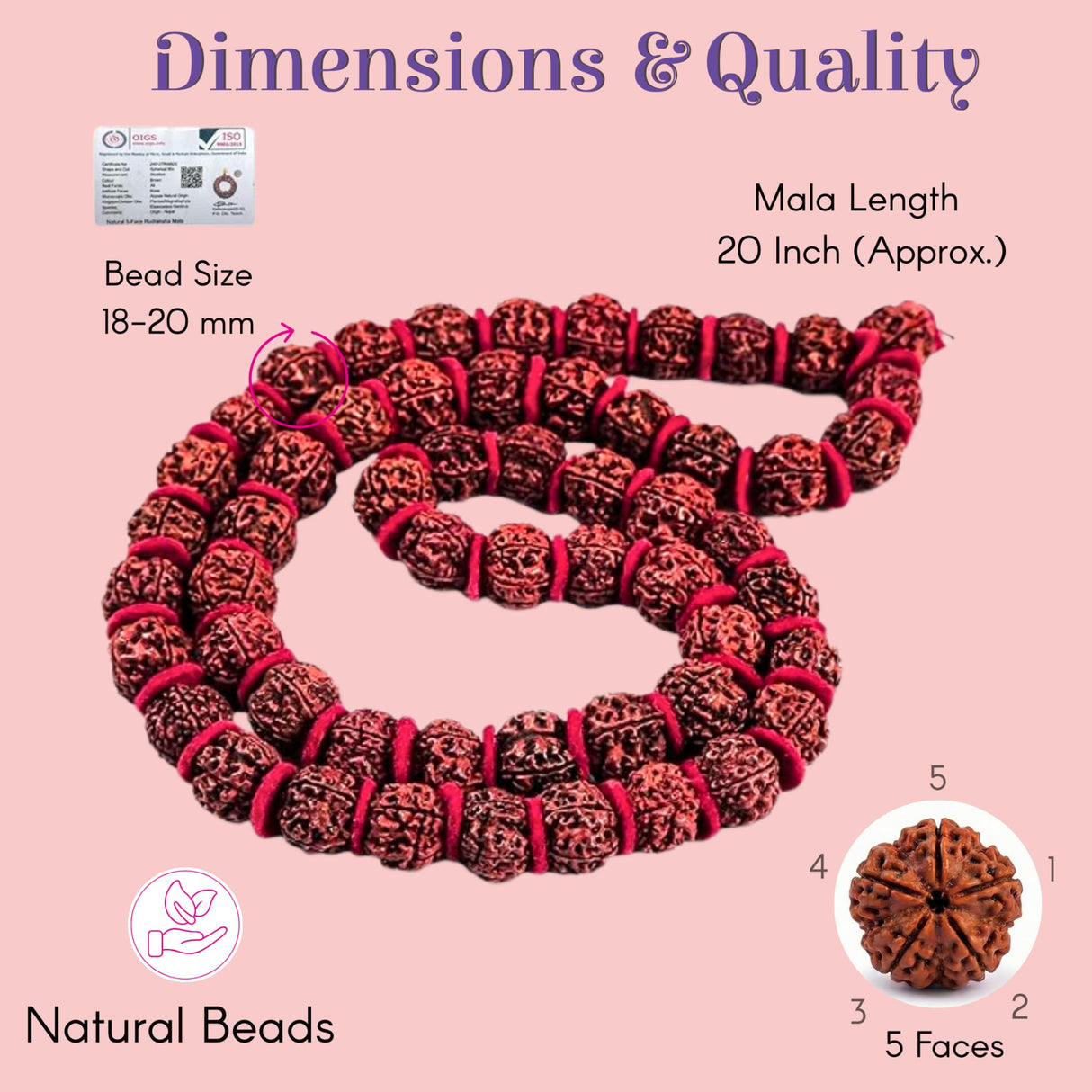 20-inch certified Panchmukhi Rudraksha Kantha Mala with 5-face textured beads
