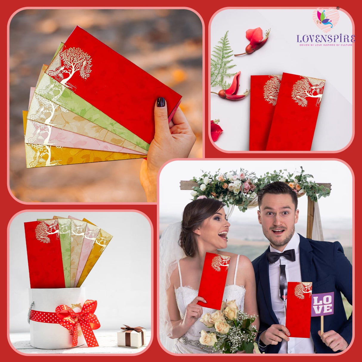 Shagun Gift Envelopes Assorted Color Peacock Tree Design Money Holder Fancy Packet Lifafa Money Envelope for Cash Gifts Christmas Diwali Easter Birthday Wedding Eid - LoveNspire