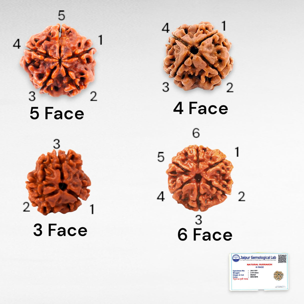 Certified Rudraksha Pendant Mala Prayer Bead Handmade Astrological Shiva Necklace Jewelry for Men Women 3 to 6 Mukhi Rudraksh with Silver Plated on Red Cotton Cord - LoveNspire