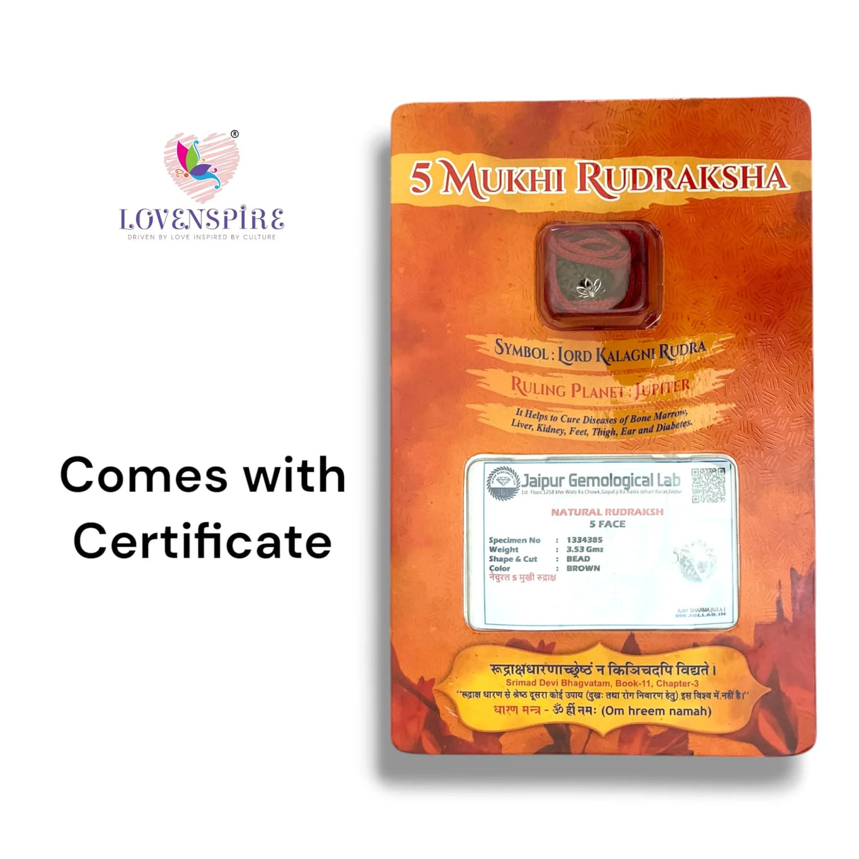 Certified Rudraksha Pendant Mala Prayer Bead Handmade Astrological Shiva Necklace Jewelry for Men Women 3 to 6 Mukhi Rudraksh with Silver Plated on Red Cotton Cord - LoveNspire