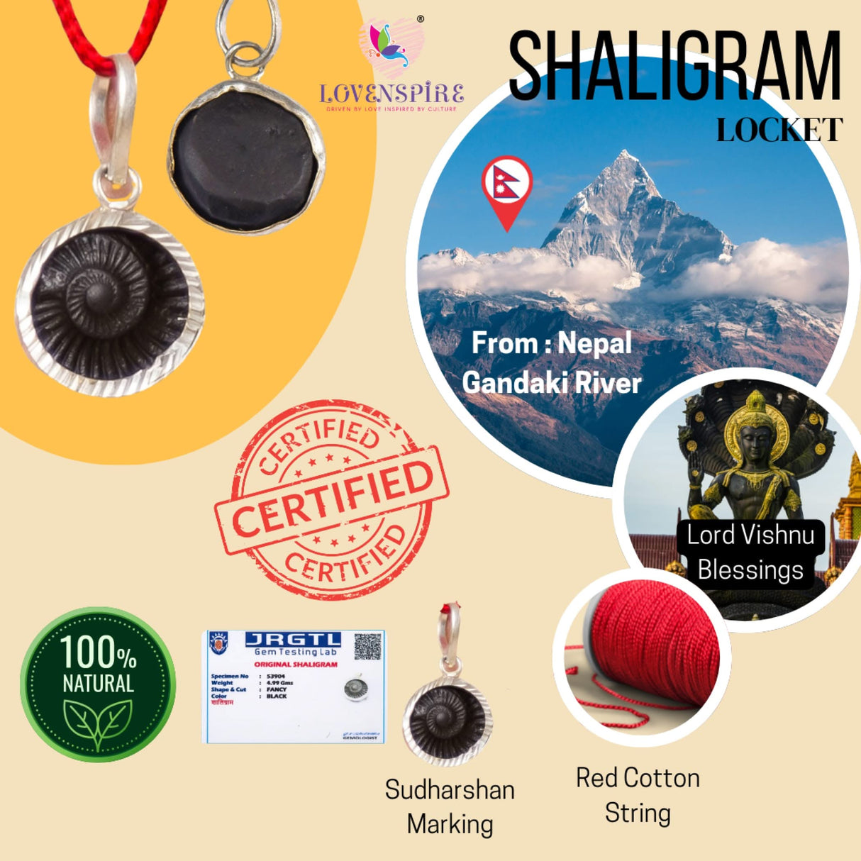 Shaligram Pendant Necklace Natural Sudarshan Silver Plated Pendant Locket from Nepal Gandaki River Chakra Lord Vishnu Energized Certified Saligram Pendant for Blessing & Prosperity (1 Pcs) - LoveNspire