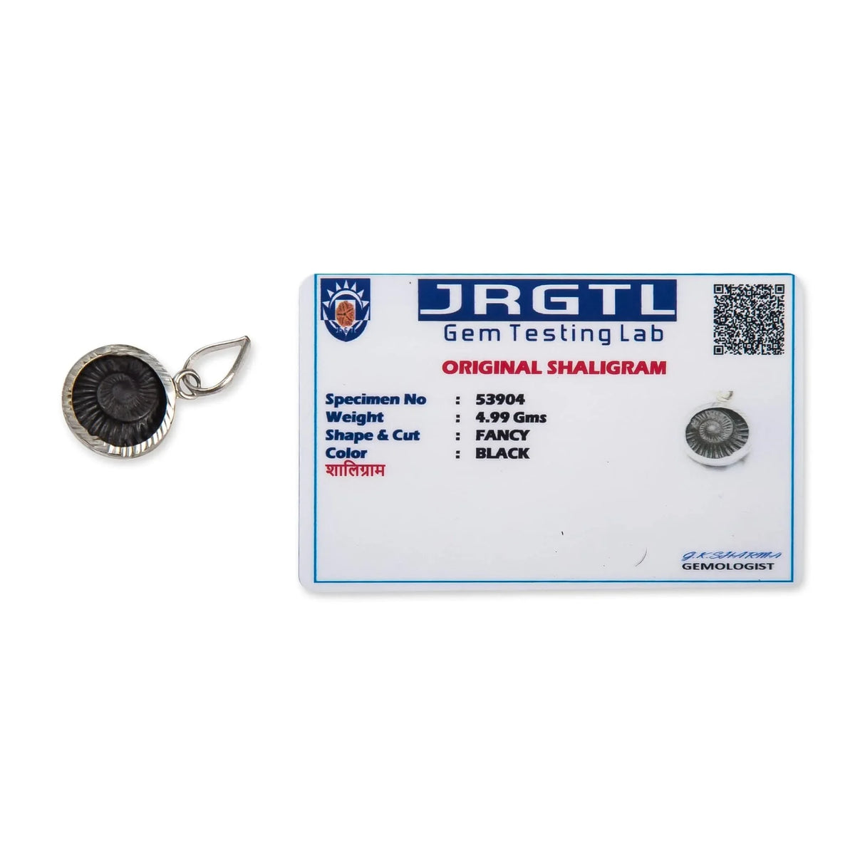 Shaligram Pendant Necklace Natural Sudarshan Silver Plated Pendant Locket from Nepal Gandaki River Chakra Lord Vishnu Energized Certified Saligram Pendant for Blessing & Prosperity (1 Pcs) - LoveNspire