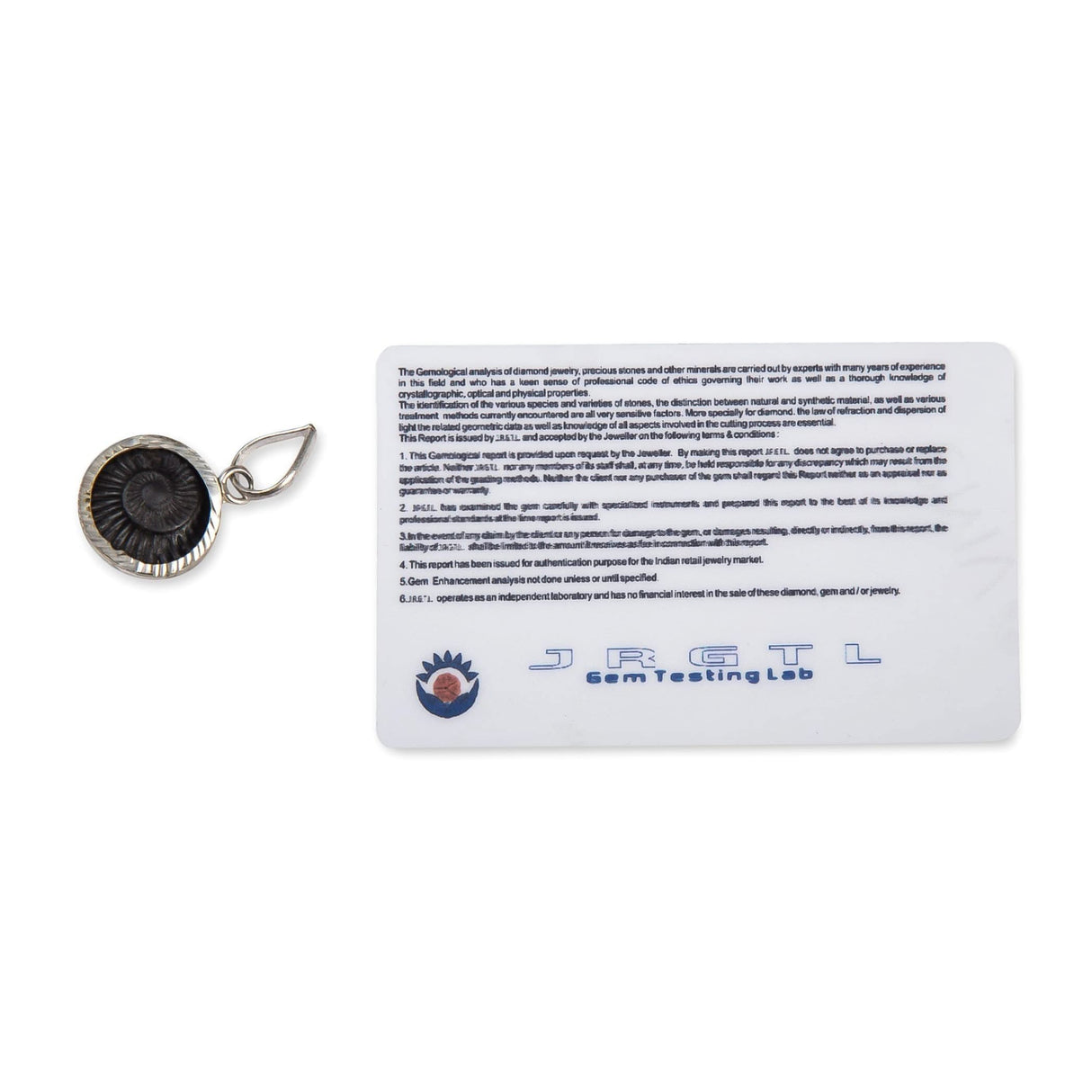 Shaligram Pendant Necklace Natural Sudarshan Silver Plated Pendant Locket from Nepal Gandaki River Chakra Lord Vishnu Energized Certified Saligram Pendant for Blessing & Prosperity (1 Pcs) - LoveNspire