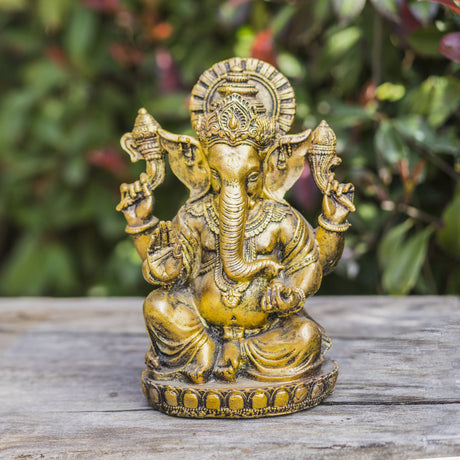 Place the Ganesh idol in the northeast corner of your home temple, ideally facing west or east, to attract prosperity and remove obstacles, while choosing a sitting idol with a calm expression for best Vastu benefits.