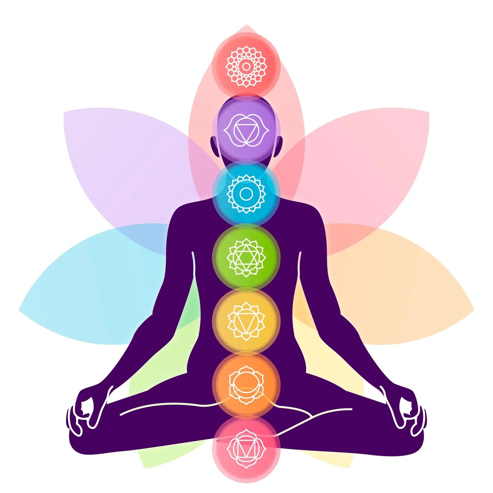 7 Chakras shown on human body