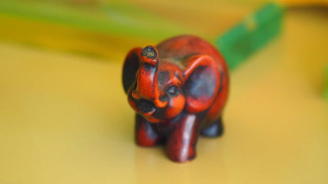 Popular amongst gift lovers, Red Elephant Gifts seeks attention for being a unique selection of thoughtful and vibrant presents meant for every occasion and liked by all.