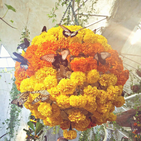 Elevate your pooja space with LoveNspire’s signature style: elegant marigold garland decorations that blend tradition with timeless charm.