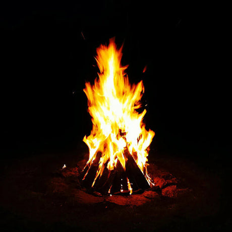 Everything to know about Bhogi, Lohri, and Laal Loi