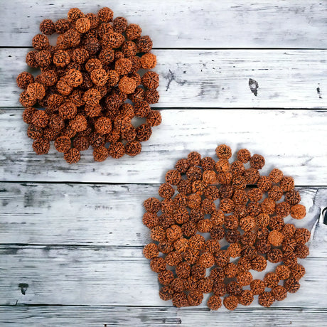 Hands holding wooden prayer beads or rosary representing rudraksha beads and Lord Shivas significance