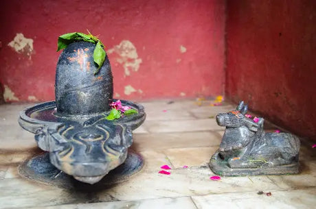 The Shiva lingam that is placed in the ancient temple.