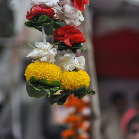 Onam festival in kerala: traditions celebrations