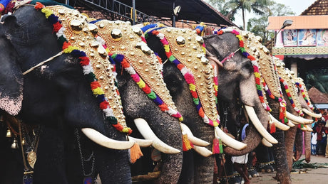 Onam unwrapped: kerala’s festival of feasts flowers