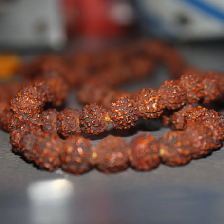 Close-up of natural Rudraksha beads that symbolize spirituality and divine energy in the soft, glowing light.