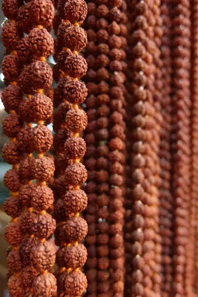 Rudraksh beads that are hung on strings that are wore by many people.