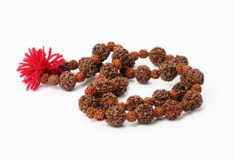 It is believed that Rudraksha beads are useful for meditation practices.