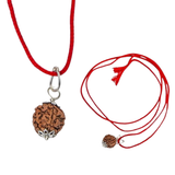 Certified Rudraksha Pendant Mala Prayer Bead Handmade Astrological Shiva Necklace Jewelry for Men Women 3 to 6 Mukhi Rudraksh with Silver Plated on Red Cotton Cord