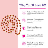 Certified 5 Mukhi Rudraksha Mala with reddish-brown coiled beads and gold spacers