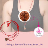 Certified 4 mukhi brown rudraksha pendant with silver accents on red cord