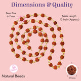 13-inch 5-face certified rudraksha mala with 6-7mm reddish-brown beads and gold spacers