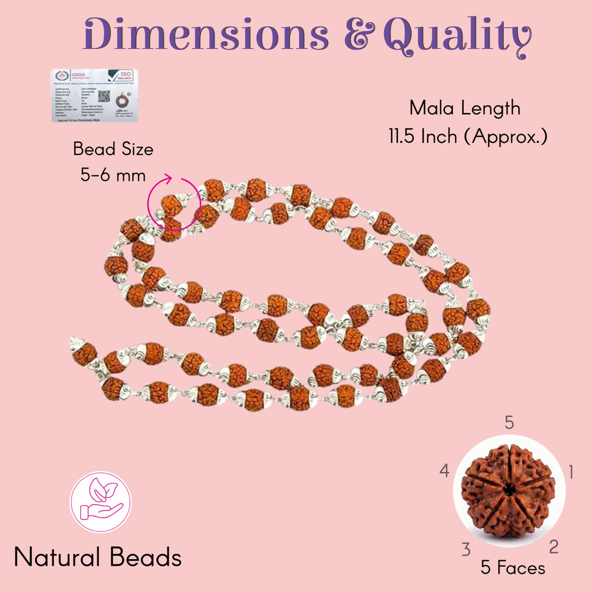Certified 5-face brown rudraksha mala necklace with silver spacers, 11.5-inch
