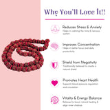 Certified 5-face Panchmukhi Rudraksha Kantha Mala coiled necklace