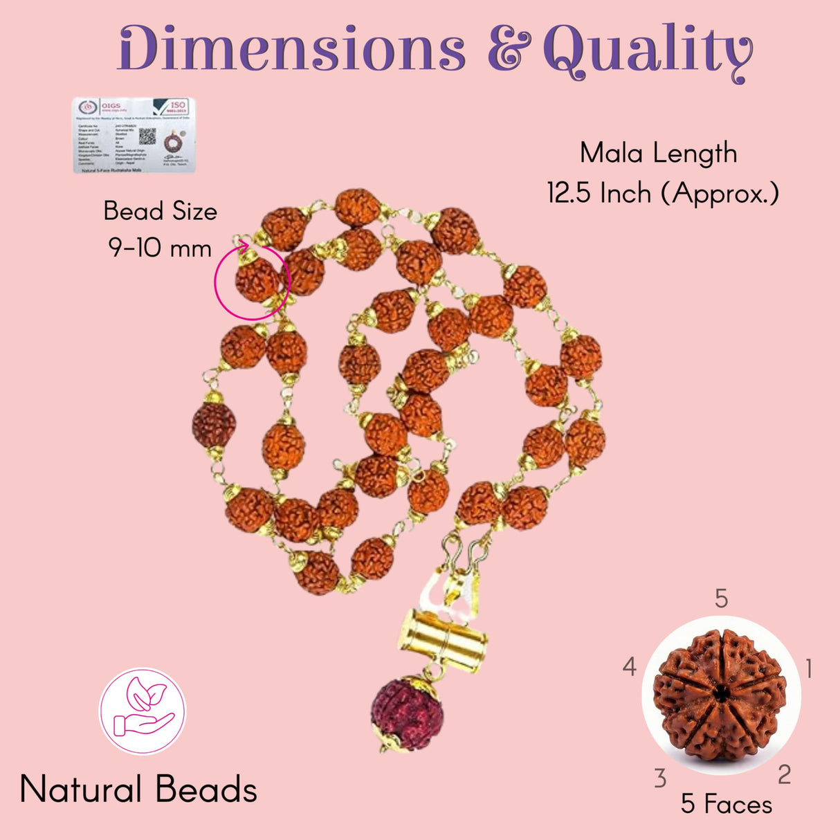 Certified 5-face rudraksha mala necklace with 12.5-inch reddish-brown beads and gold clasp