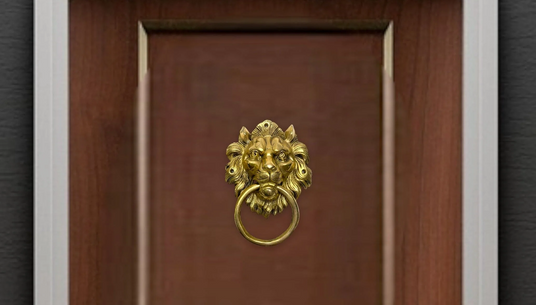 Door Knocker