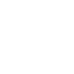 loyalty-icon
