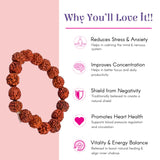 Rustic 5 Mukhi Nepali Rudraksha bracelet, reddish-brown 8.5mm beads, stretchable