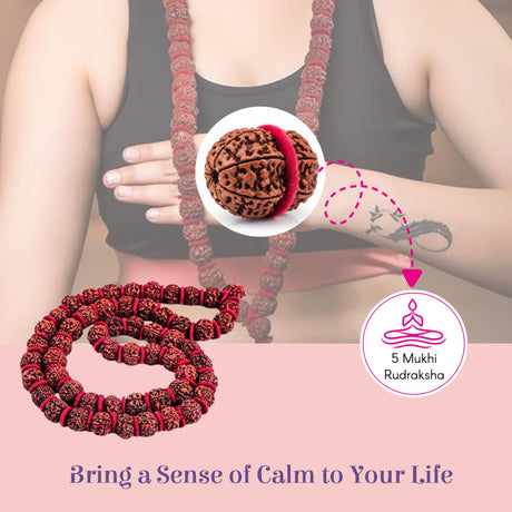 54-bead Panchmukhi Rudraksha Kantha Mala with red cord, back view