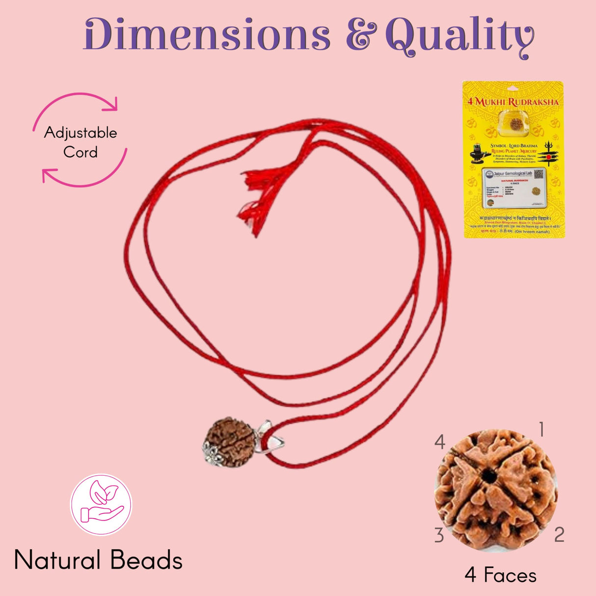 Red 4-faced rudraksha pendant necklace with silver clasp on adjustable cord