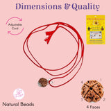 Red 4-faced rudraksha pendant necklace with silver clasp on adjustable cord
