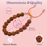 Adjustable 5 Mukhi Rudraksha bracelet with orange cord, brown textured beads, crystal accents