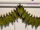 Fabric Mango Leaf Door Toran Hanging Bandarwal for Home Pooja Decor Indian Vintage Traditional Main Door Wall Hanging Diwali Decoration Wedding Favor Housewarming Return Gift (36x5 Inches)