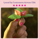 A delicate handcrafted flower made from glossy orange and pink candy wrappers with textured green leaves for haldi kumkum packets bulk strawberry style mini packs premium sindoor and turmeric powder combo