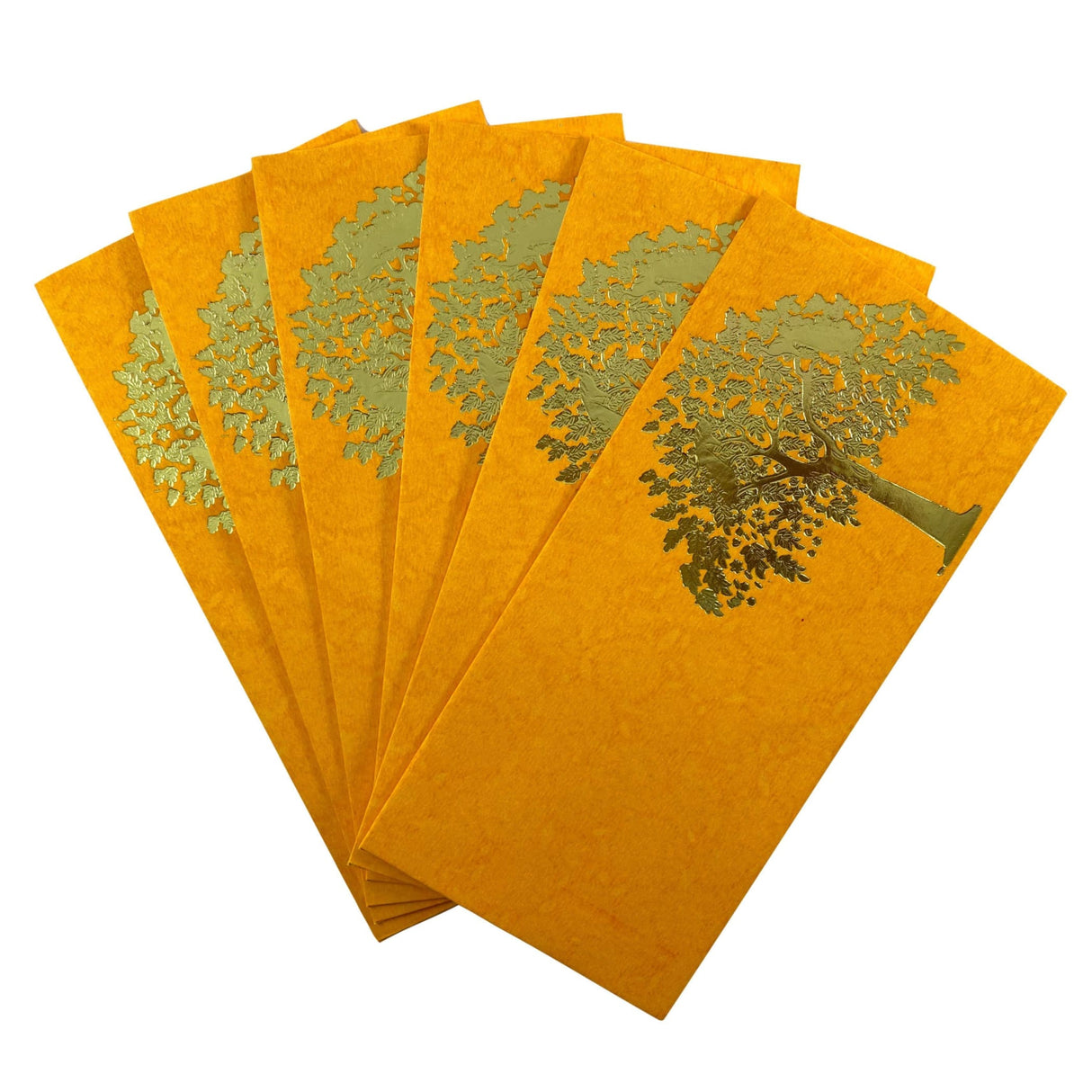 Tree shagun envelop gift indian arab punjabi muslim wedding