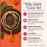 A coiled tulsi holy basil japa mala necklace made of natural basil wood beads with a vibrant orange tassel for meditation